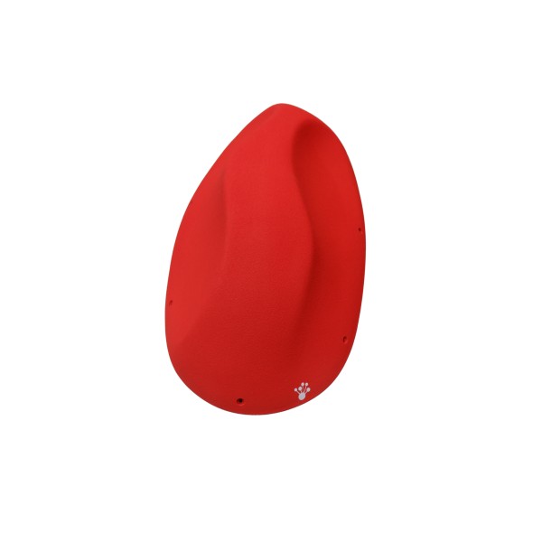 Coffee Beans - Macro 04