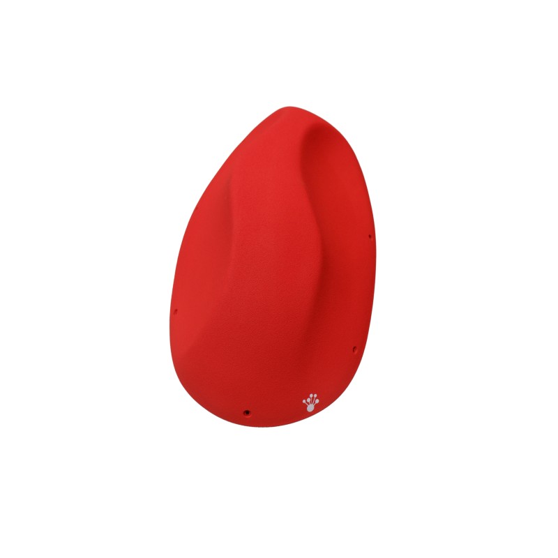 Coffee Beans - Macro 04