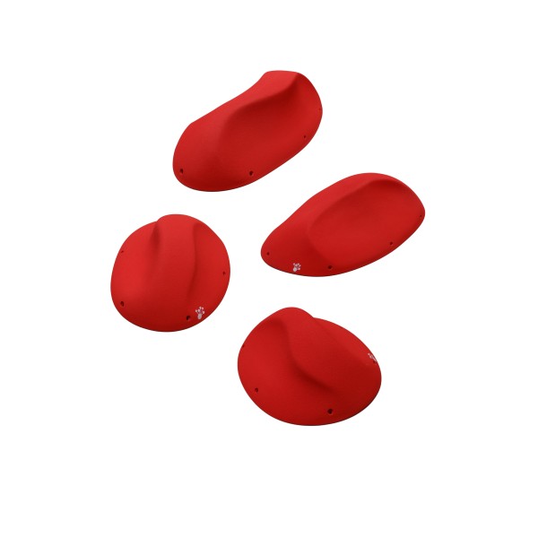 Coffee Beans - Full Range Macro