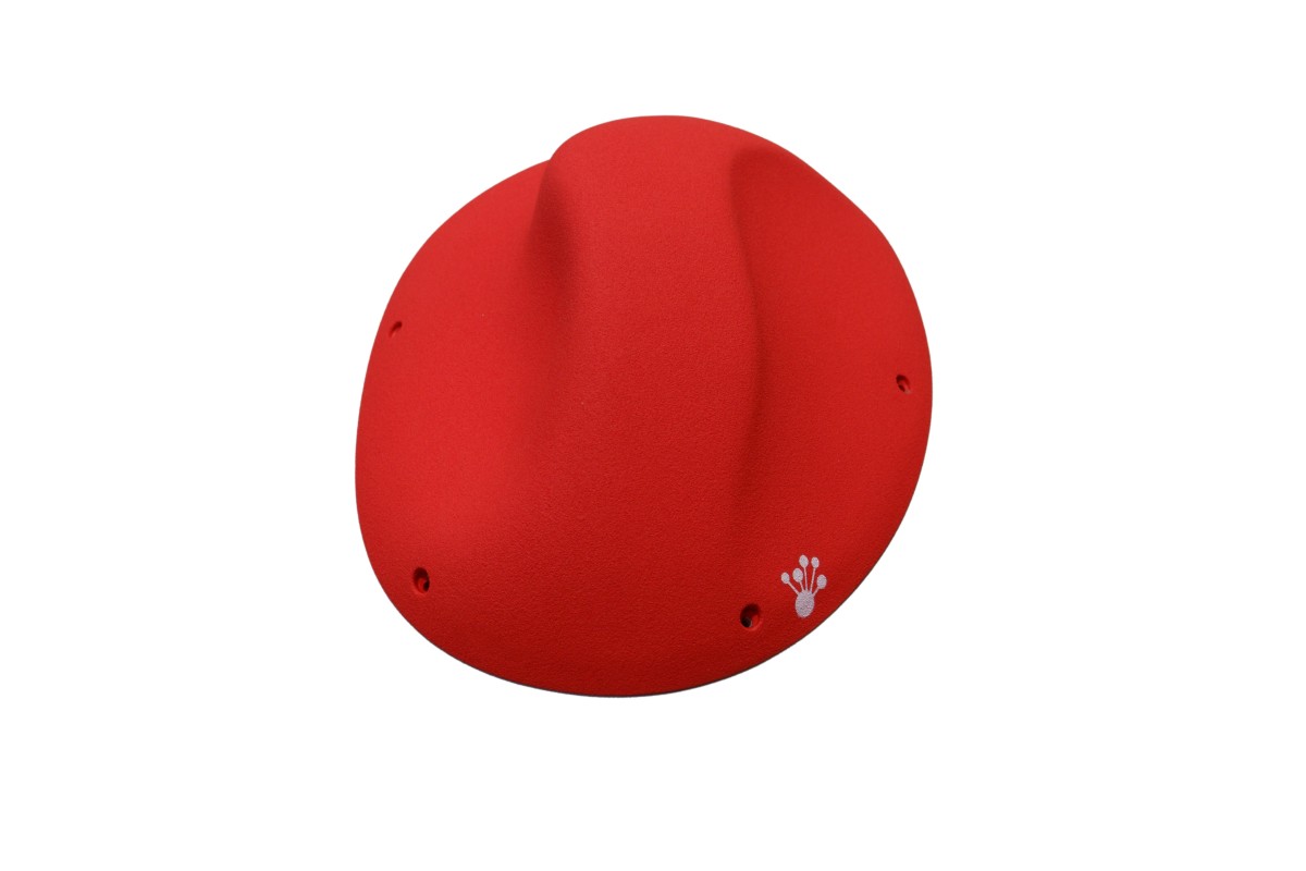 Coffee Beans - Macro 01