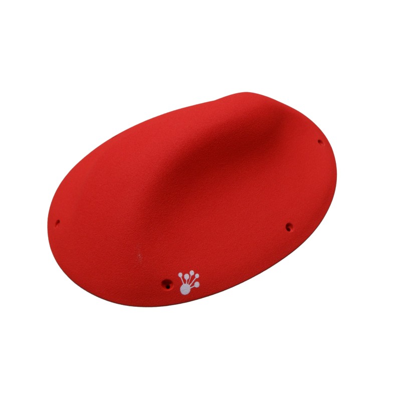 Coffee Beans - Macro 02