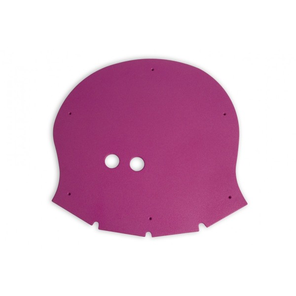 Animals - Poulpito Head