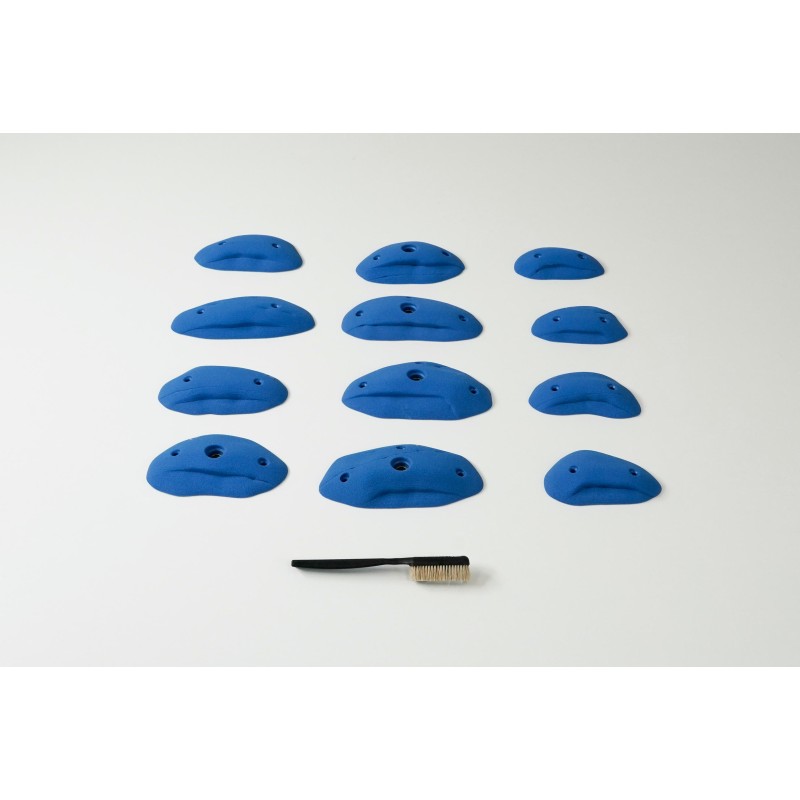 Coasts - Mini Crimps S-M