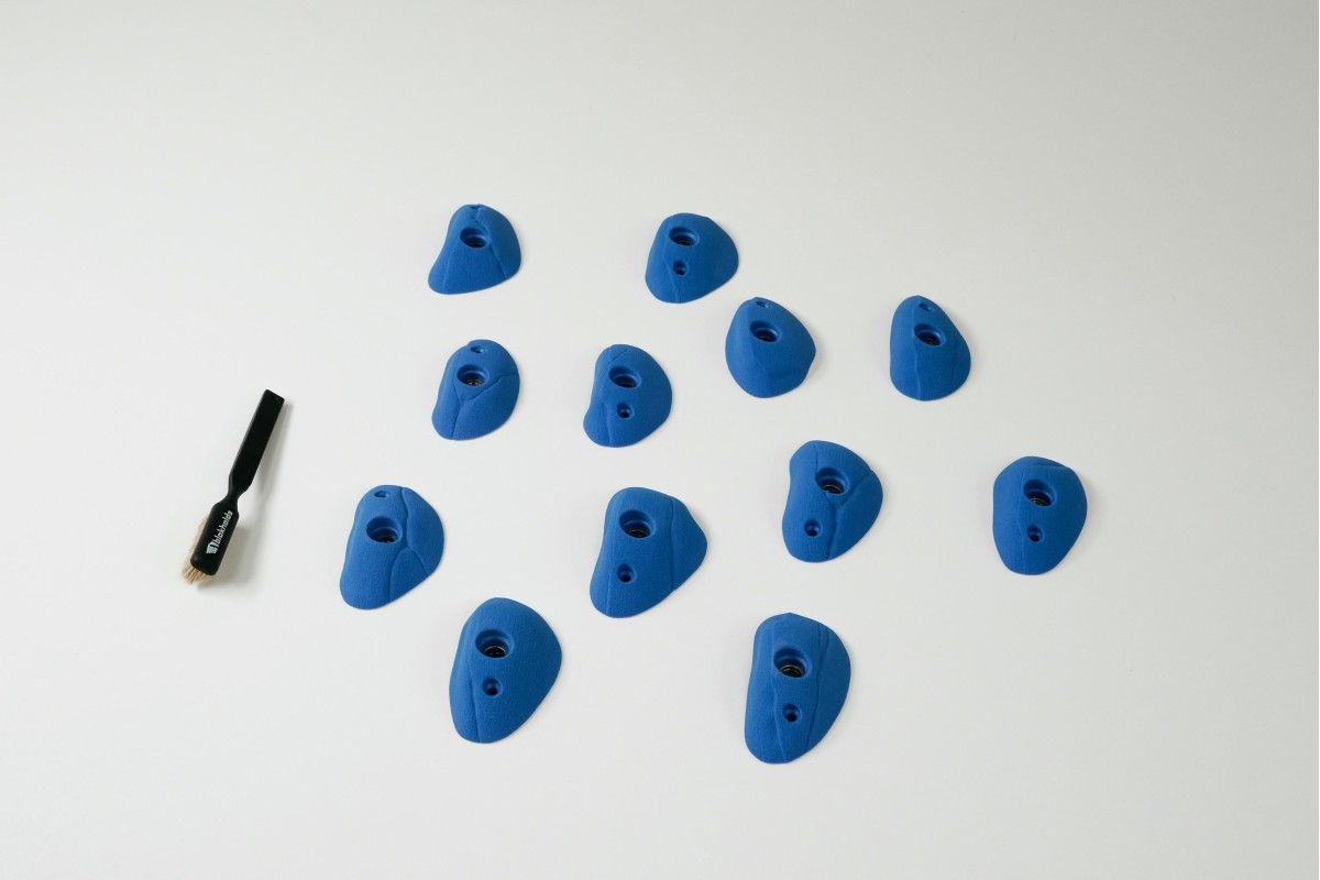 Coasts - Open Crimps S