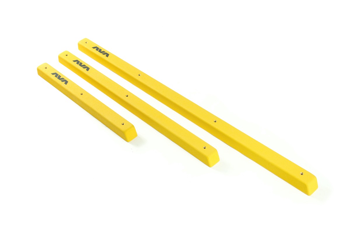 Training - French fries