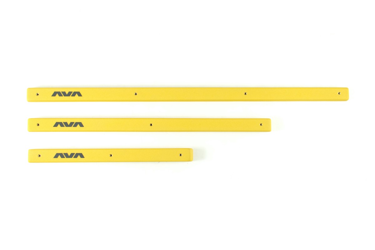 Training - French fries