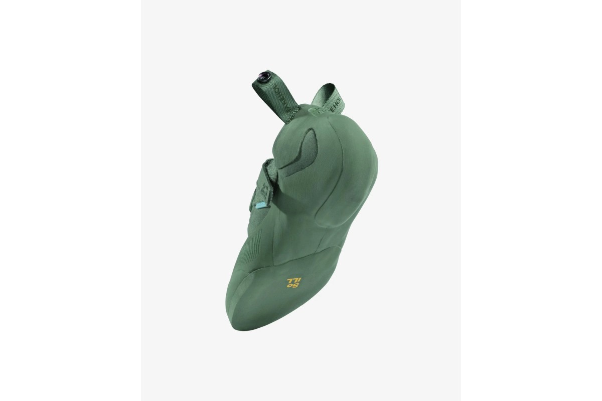 Start - Lichen Green