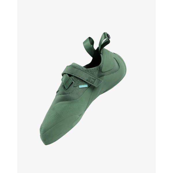 Start - Lichen Green