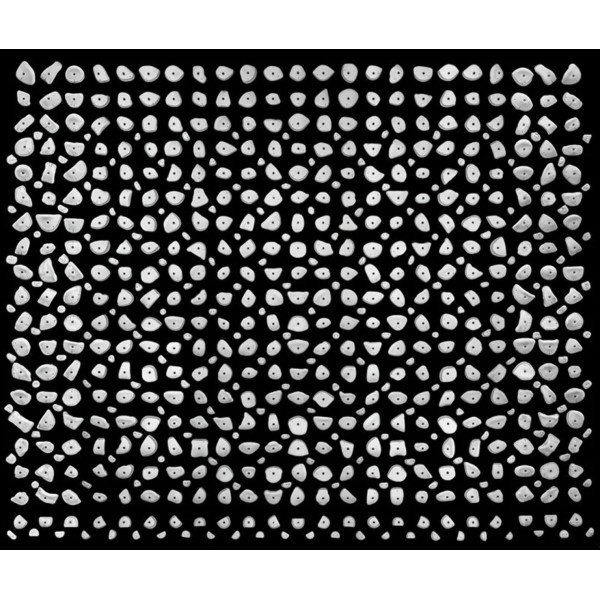 Kilter - Full 16x12 Holds LEDs Controller