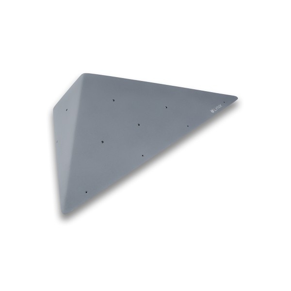 Performers - L101-W 2