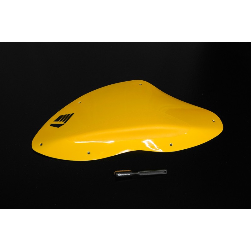 Dreamers - 16 (Dual)