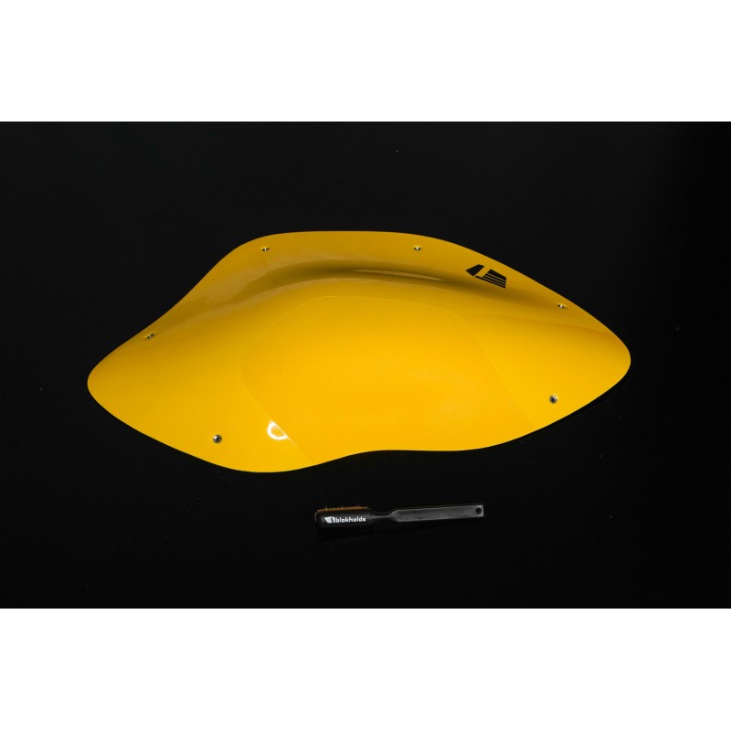 Dreamers - 11 (Dual)