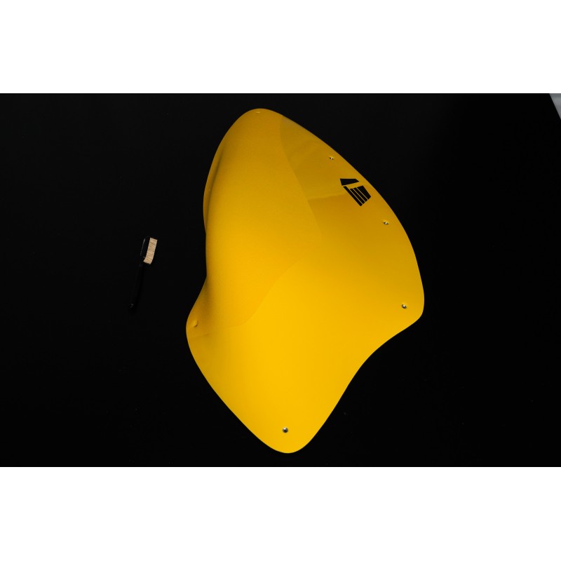 Dreamers - 21 (Dual)