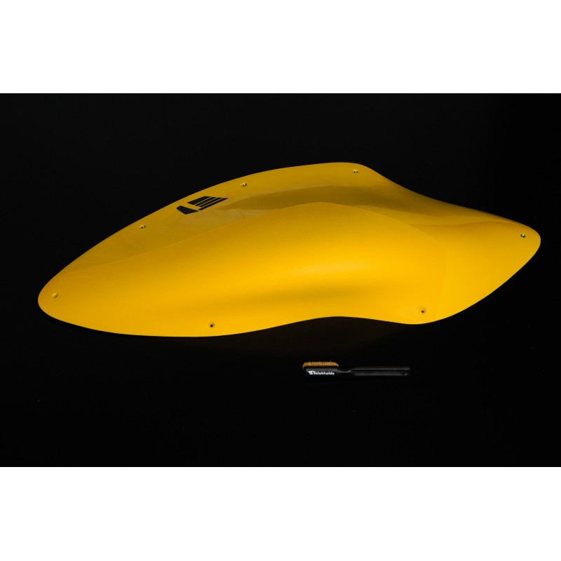 Dreamers - 21 (Dual)