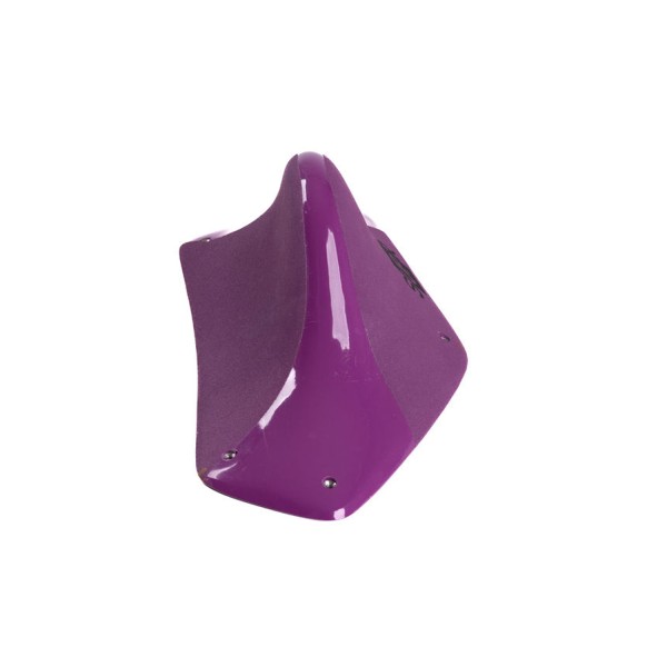 Cruisers Pinches  - 01 (Dual) 2