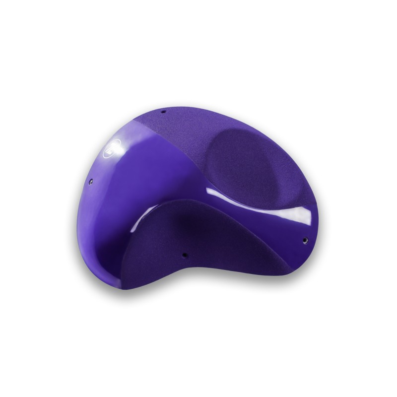 Absolutes - NEO-11-DT