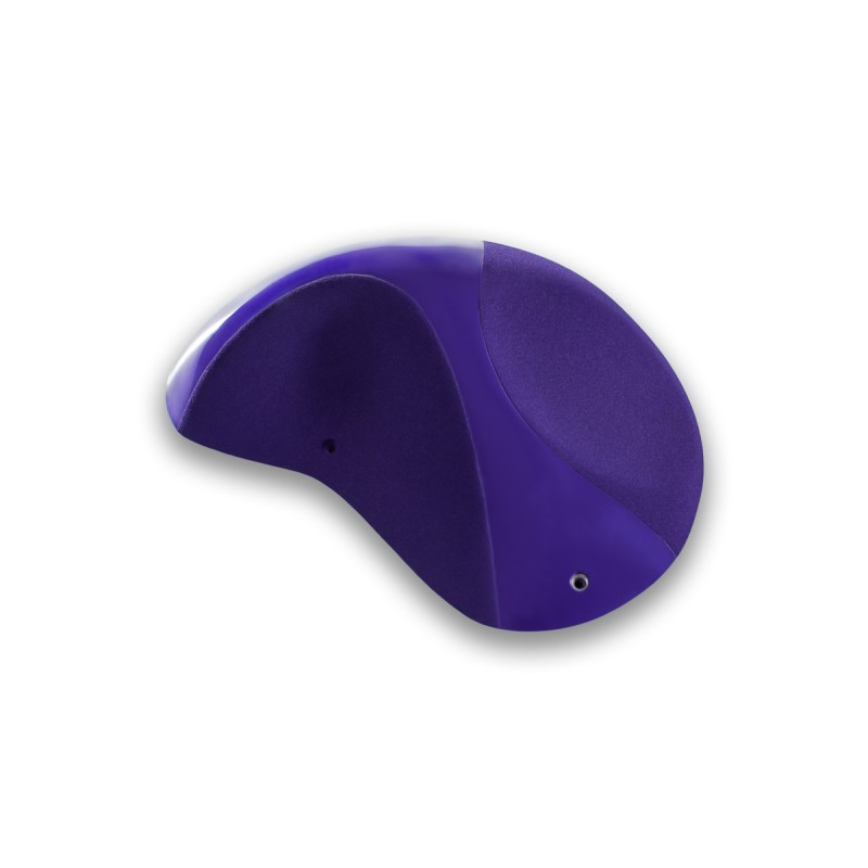 Absolutes - NEO-11-DT