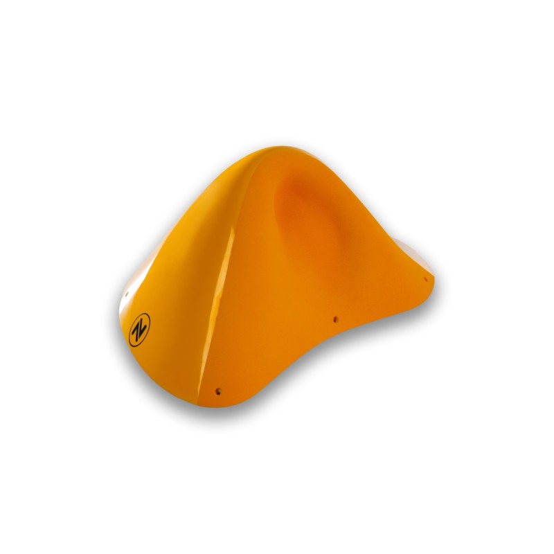 Absolutes - NEO-6-DT