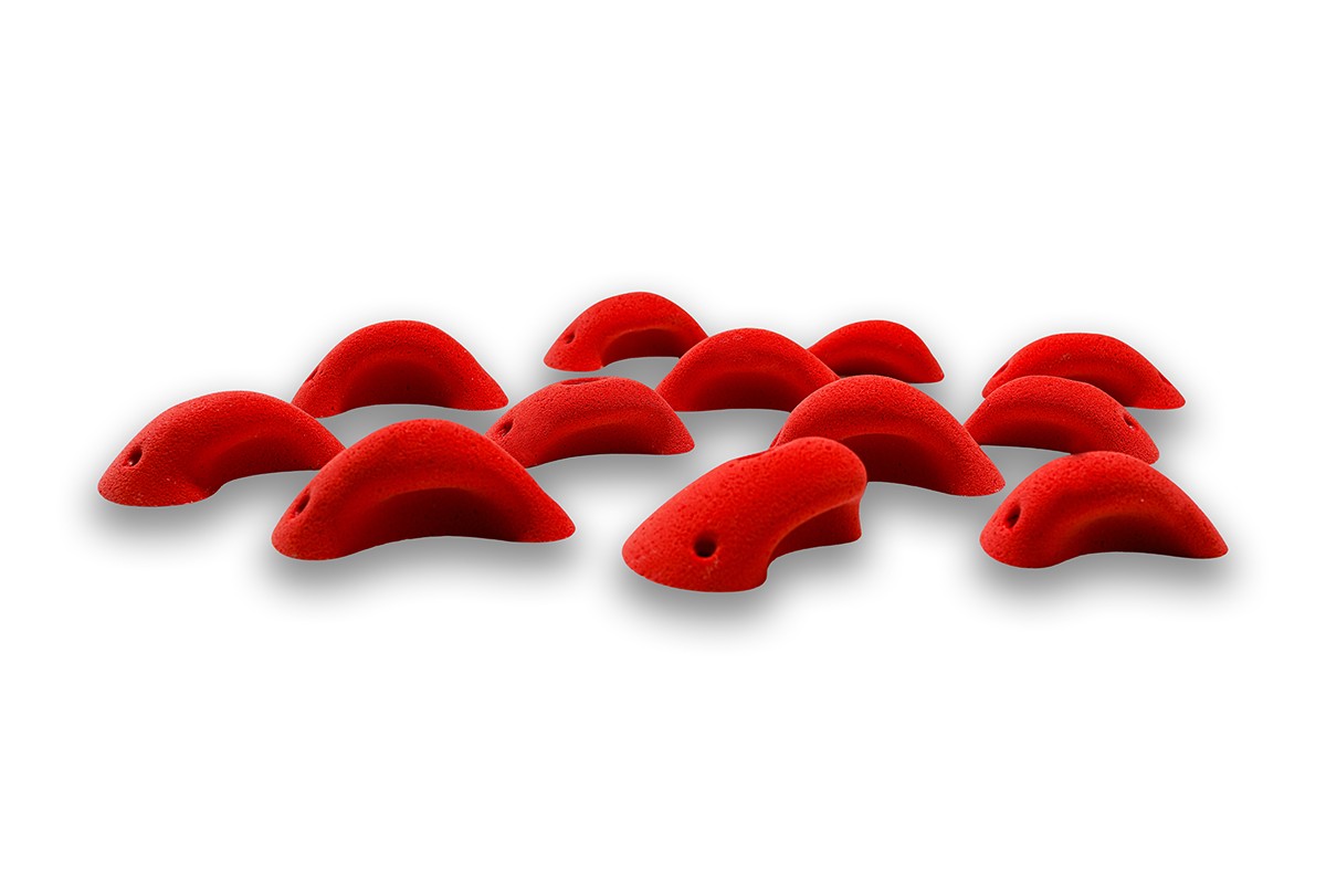 Absolutes - PE - NEO-16PE