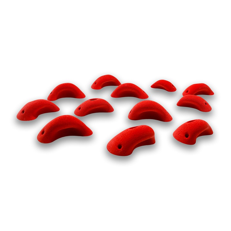 Absolutes - PE - NEO-16PE