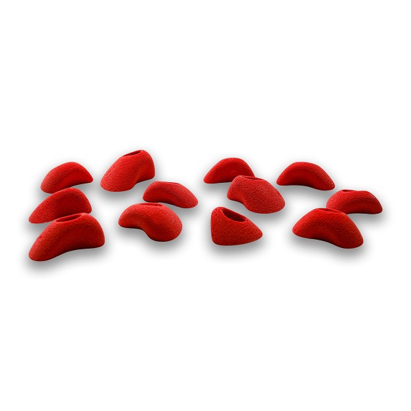 Absolutes - PE - NEO-42PE 2