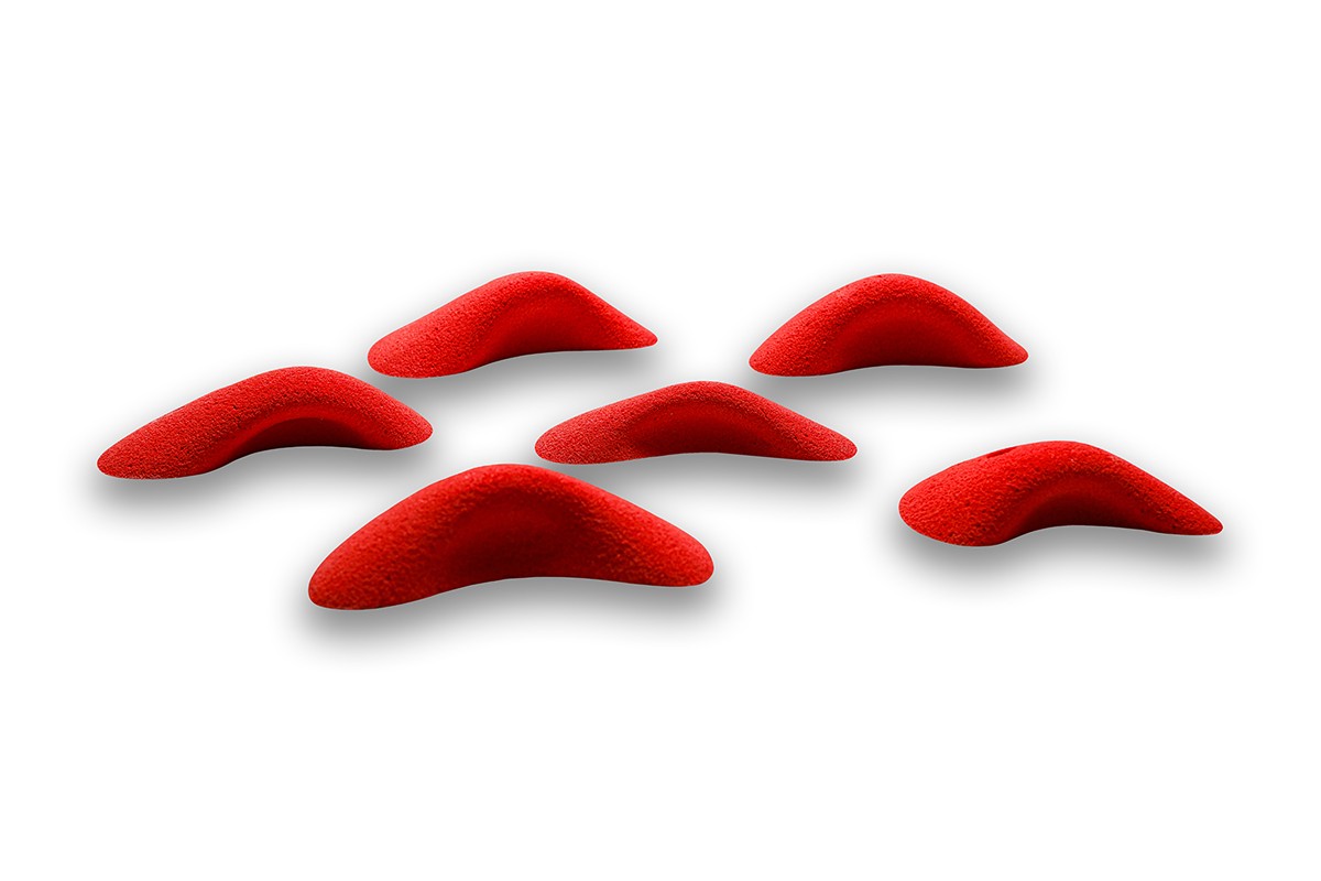 Absolutes - PE - NEO-26PE