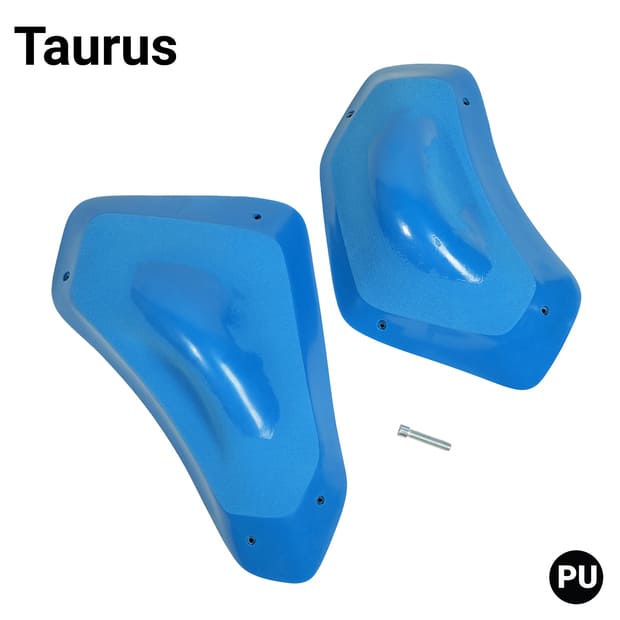 Taurus