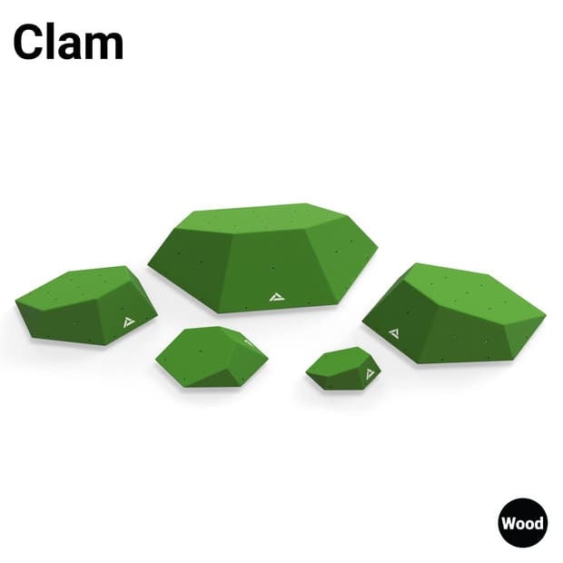 Clam