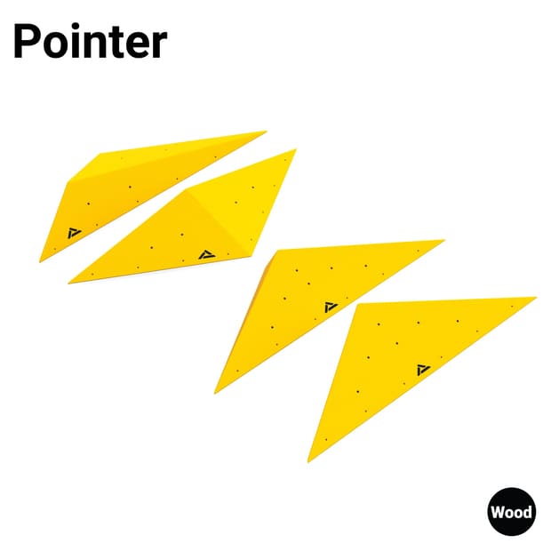 Pointer