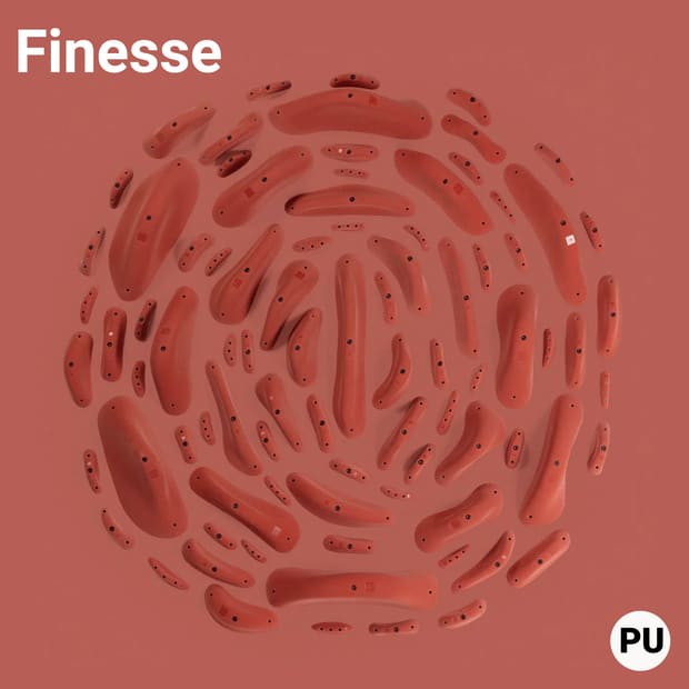 Finesse