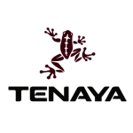 Tenaya Climbing